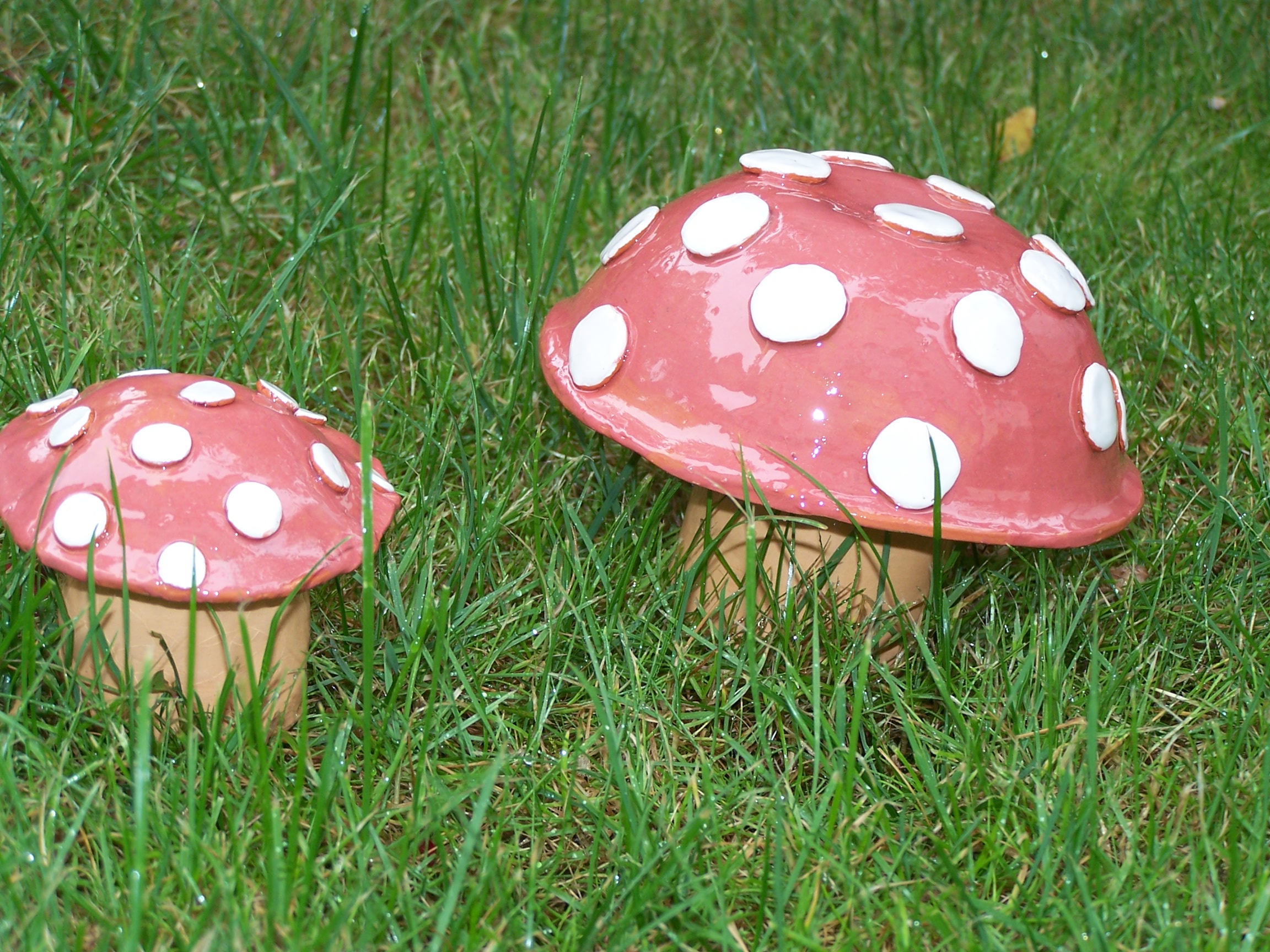 Fliegenpilz